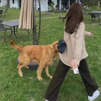 震惊世界的一天